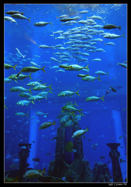 2012 - 06 - Dubai - 042